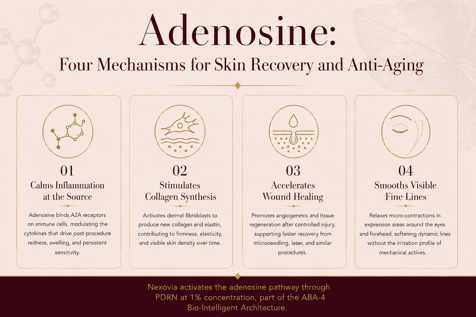 Article 16 - how-adenosine-supports-skin-recovery-and-anti-aging_2.png