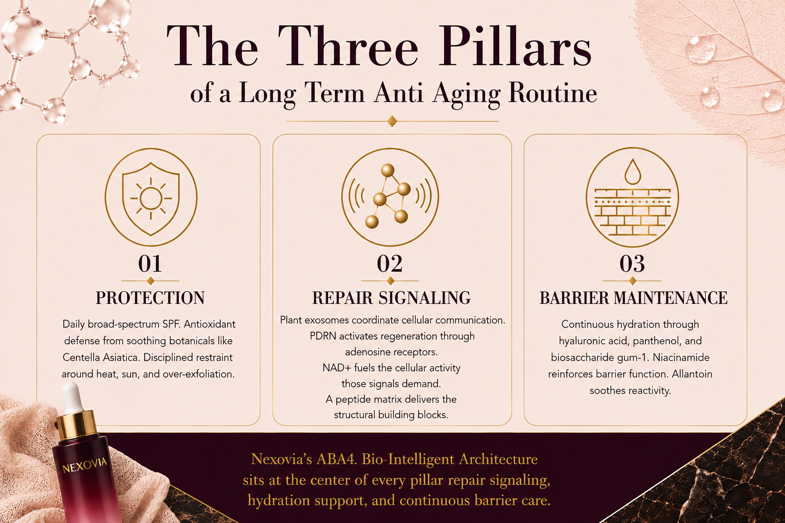 Article 22 - how-to-build-a-long-term-anti-aging-routine-around-aesthetic-treatments_2.png