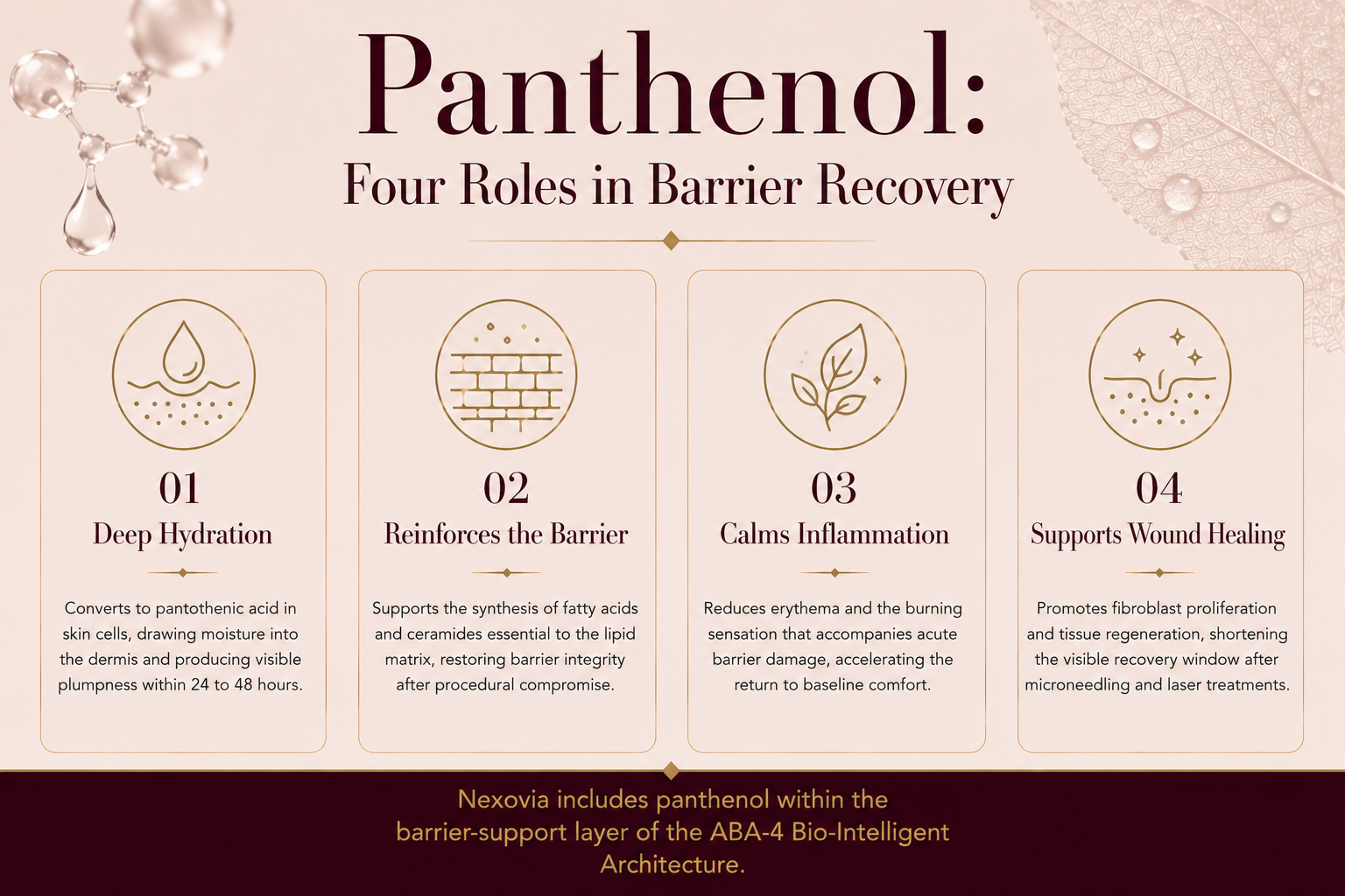 Article 18 - panthenol-for-compromised-skin-how-provitamin-b5-supports-recovery_2.png
